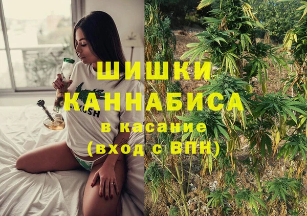 СК Дегтярск