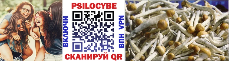 Галлюциногенные грибы Psilocybine cubensis  blacksprut ONION  Нязепетровск 