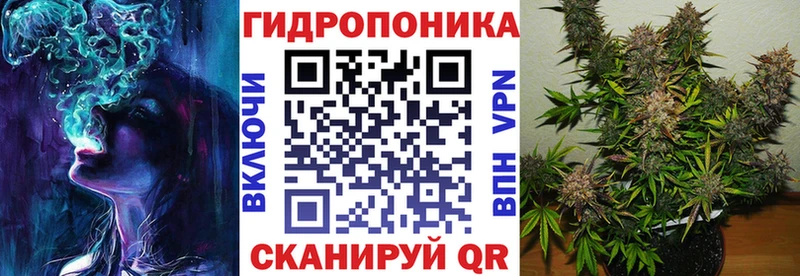 гидра онион  Нязепетровск  Канабис план 